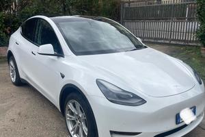 Tesla Model Y Long Range