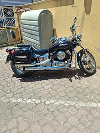 Drag star 650