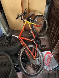 Mountain bike canyon