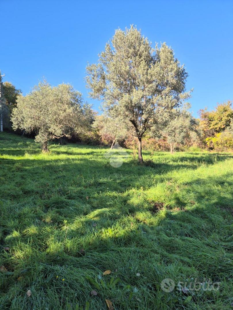 TER. AGRICOLO A MOMPEO - Vista 4