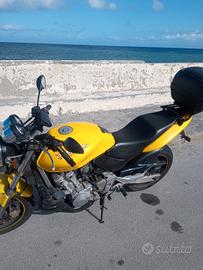  Honda Hornet 