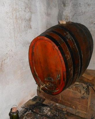 Botte per vino