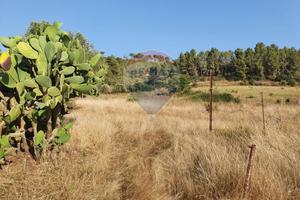 Terreno - Caltagirone