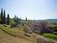 Immagine 15