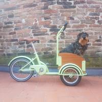 Mini Cargo Bike