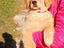 Immagine 19