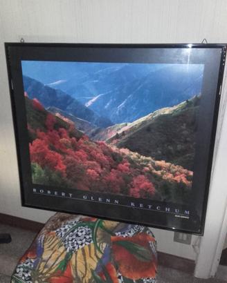 Quadro con Cornice Nera Lucida