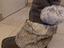 Immagine 3