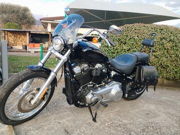 Hd softail standard 2021 sales