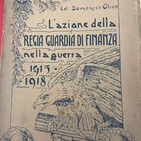 l'azione della regia guardia di finanza 