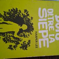 il buio oltre la siepe