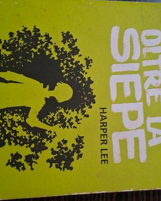 il buio oltre la siepe