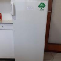 Frigo e cella freezer ELECTROLUX