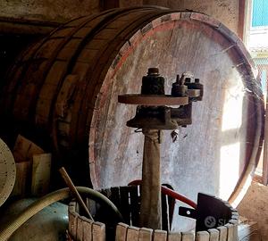 Botte da cantina e/o collezionismo-arredo