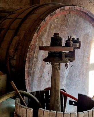 Botte da cantina e/o collezionismo-arredo