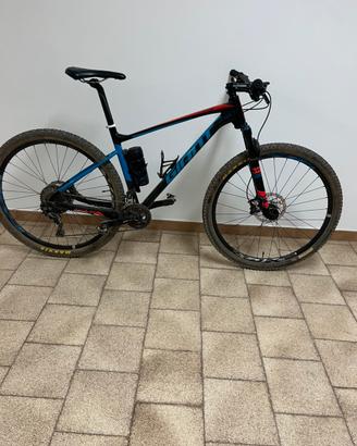 Giant 29