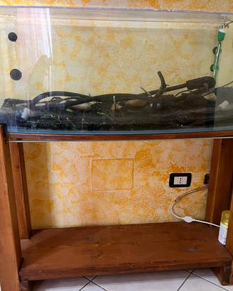 Acquario 100 Litri Vetro Curvo completo di tutto.