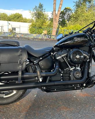 Harley davidson street bob