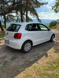 Volkswagen Polo 1200 TDI 75 cv diesel comfortline