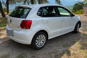 Volkswagen Polo 1200 TDI 75 cv diesel comfortline