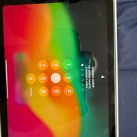 I pad 256 gb con sim