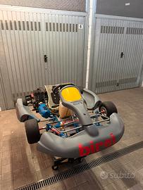 Coppia easykart 100cc IAME pronti pista + carrello