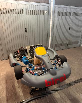 Coppia easykart 100cc IAME pronti pista + carrello