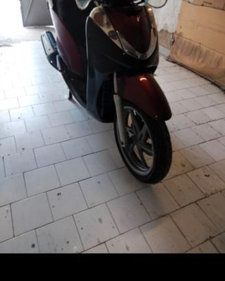 Sh 300 i