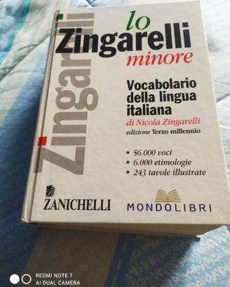 dizionario zanichelli