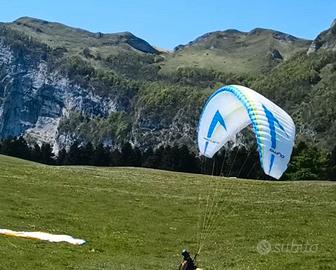 Swing Arcus RS lite S (70-95 kg)