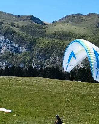 Swing Arcus RS lite S (70-95 kg)