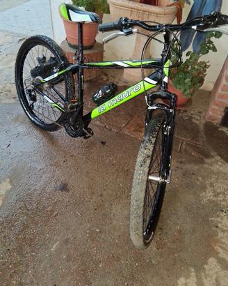 Bicicletta 
