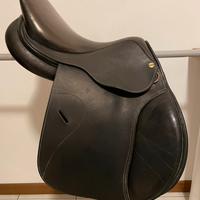 Henry de Rivel 15.5”