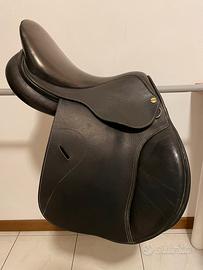 Henry de Rivel 15.5”