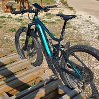 bicicletta ebike 