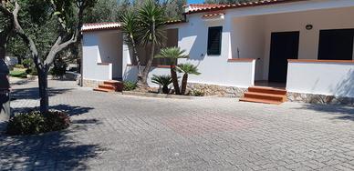 Vieste villetta 8/22 agossto