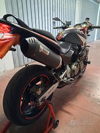 Honda hornet 