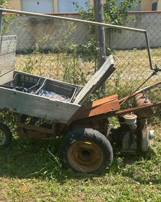 Capretto agricolo con motore benzina/petrolio