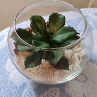 Ciotola in vetro con pianta artificiale 