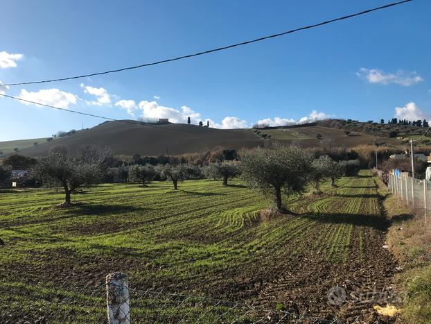 Terreno in fase di sblocco