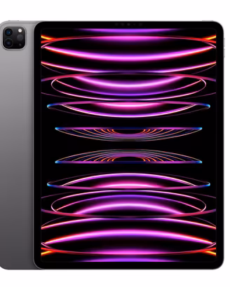 iPad Pro 12.9  5ª generazione + apple pencil