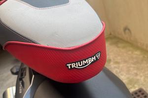 Sella Triumph Tiger Sport