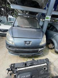 Ricambi PEUGEOT 1007