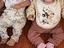 Immagine 3