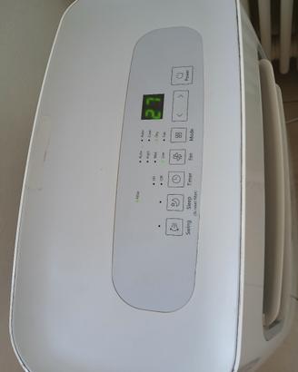 climatizzatore portatile 