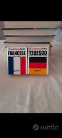 Dizionari di francese e tedesco