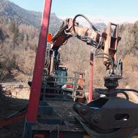 Gru forestale Dalla Bona