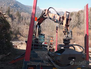 Gru forestale Dalla Bona