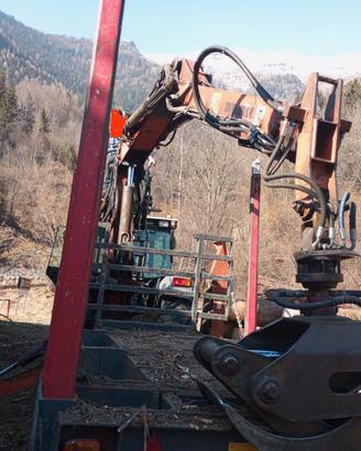 Gru forestale Dalla Bona