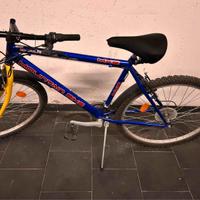 bicicletta mountainbike